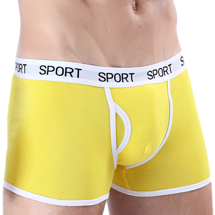 Boxer Uomo Sportivi con Elastico